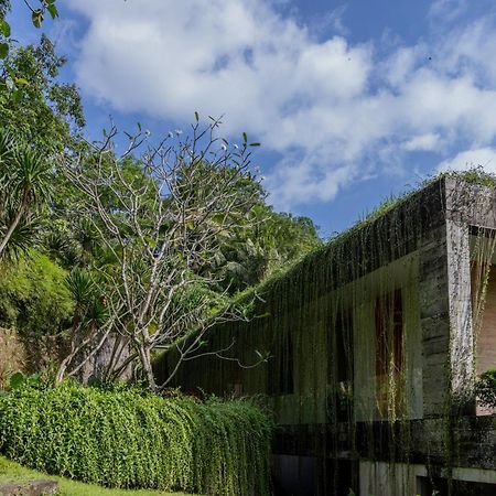 Chameleon Villa Bali Selemadeg Eksteriør billede