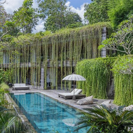 Chameleon Villa Bali Selemadeg Eksteriør billede