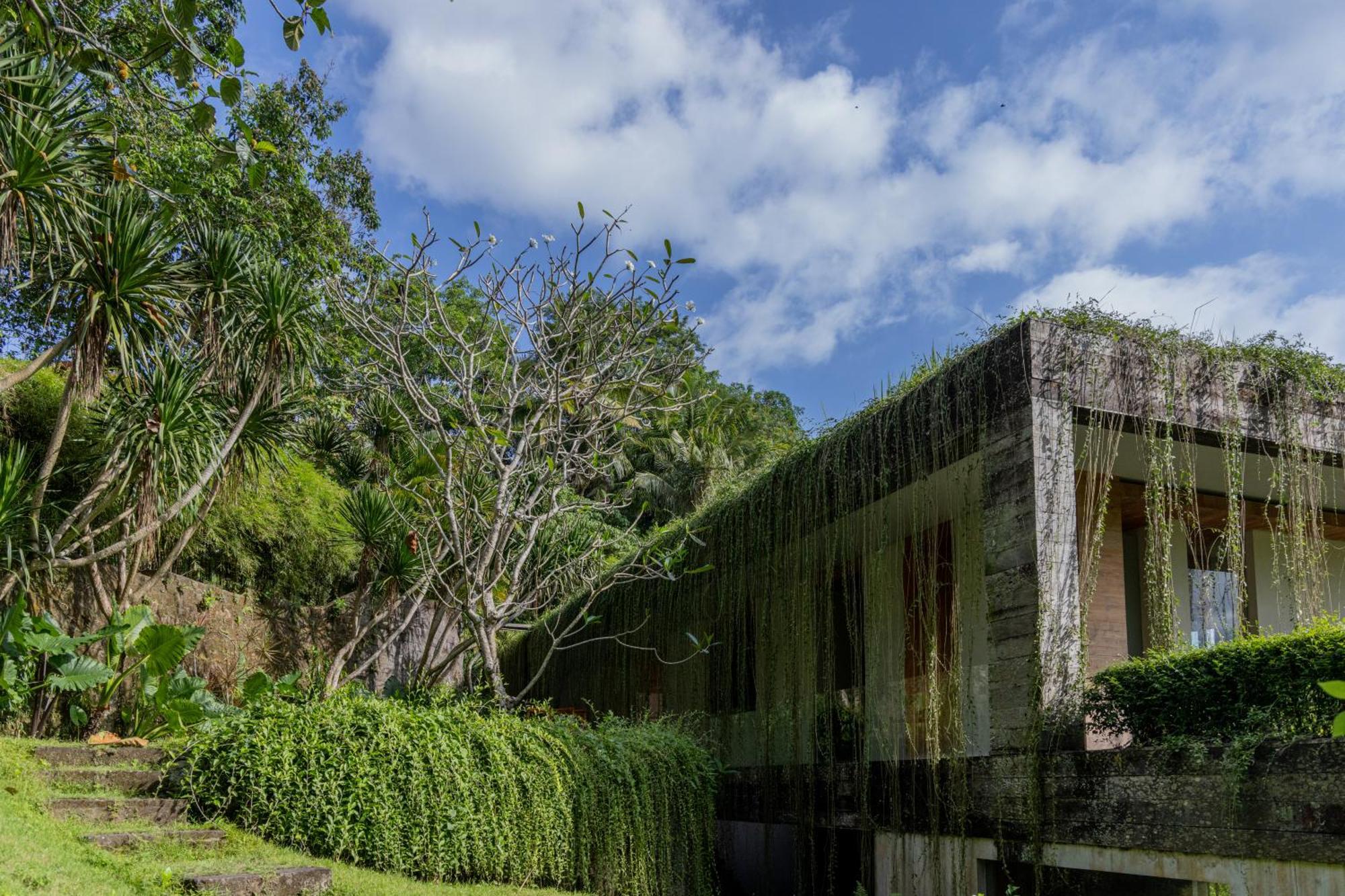 Chameleon Villa Bali Selemadeg Eksteriør billede