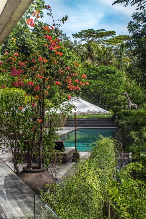 Chameleon Villa Bali Selemadeg Eksteriør billede